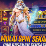 Slot dengan RTP Terbaik: Apa yang Harus Anda Ketahui